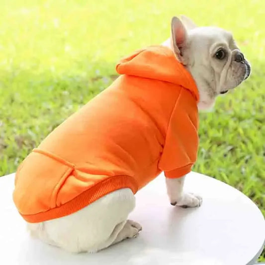 Cozy Dog hoodie