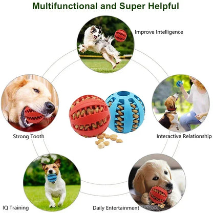 Nontoxic Food Ball for Puppies