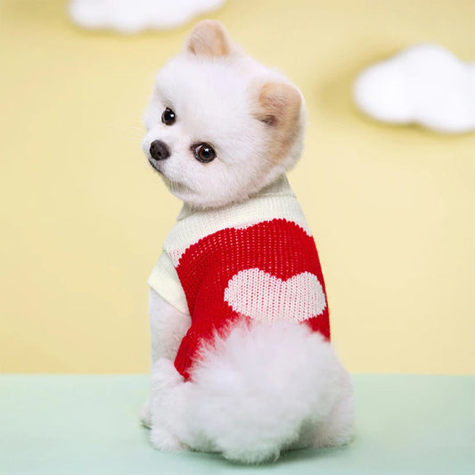 Cozy Knitted Puppy Sweater